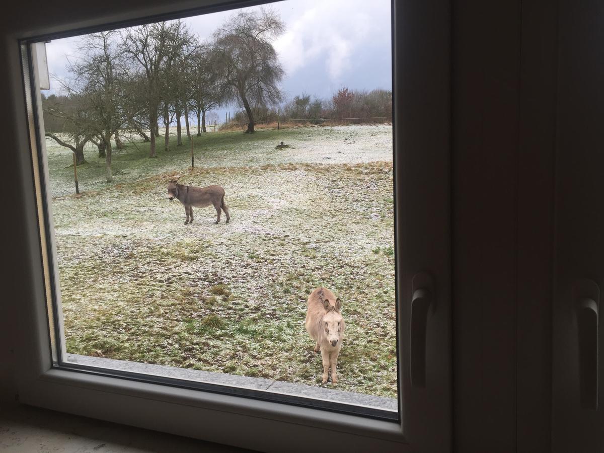 Hotel Am Rossberg Altenahr Zewnętrze zdjęcie